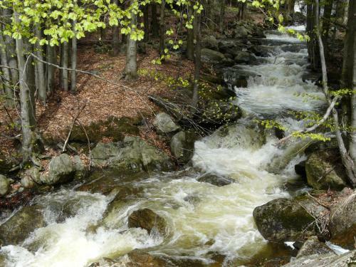 Hostal Landhaus Meine Auszeit