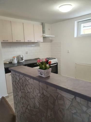 Fam�lia Apartman Cserkesz?l?