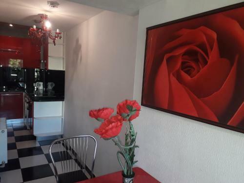 Apartment Red