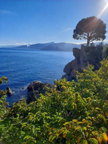 Apartamento Villa Kalura B