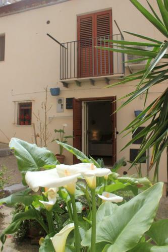 Apartamento Sole A Catinelle