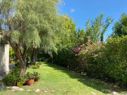 La Casa Del Buen Sol Y Los Olivos