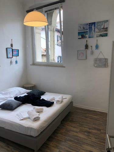 Albergue Old Court Koper