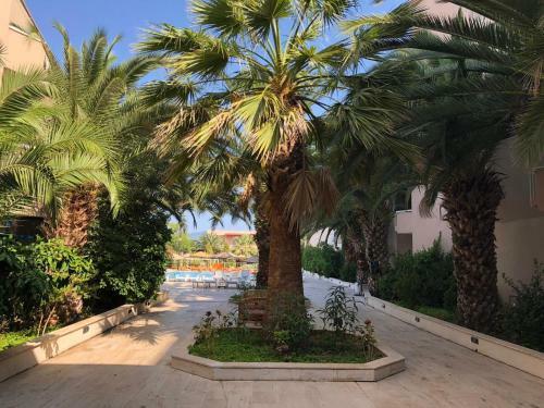 Hotel Afytos �ren Park Mtk