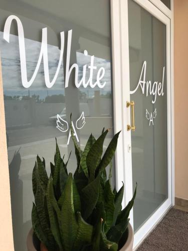 Apartamento Monolocali White Angel