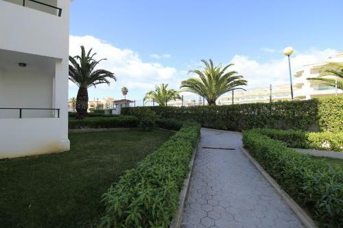 Apartamento Arma��o De P�ra Brightness With Pool By Homing