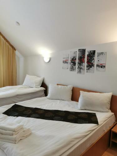 Hostal Pensiunea Hora