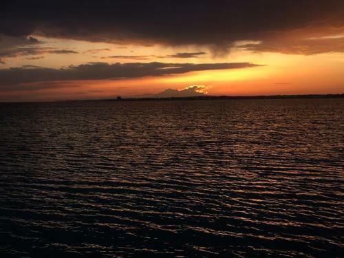 Sea Of Love
