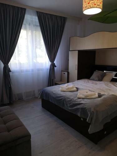 Ana Lux Apartments Brasov