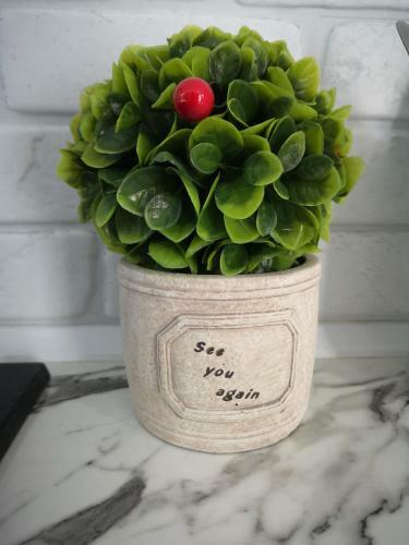 Apartamento Ivy Boutique