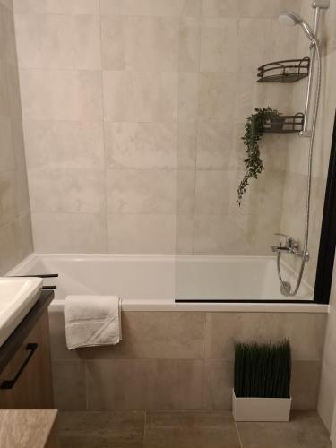 Apartamento Tonic Studio Coresi