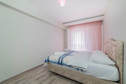 Lovely 3 Bdrm Apartment Close To Everything