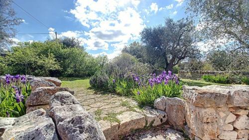 Villa Cisternino Trulli Mansion With Pool By Wowhomes