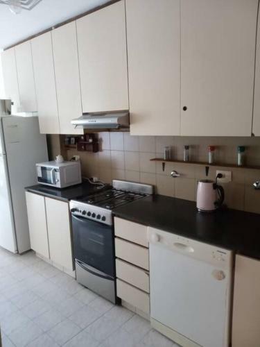 Apartamento Amplio Departamento 2 Dormitorios Microcentro