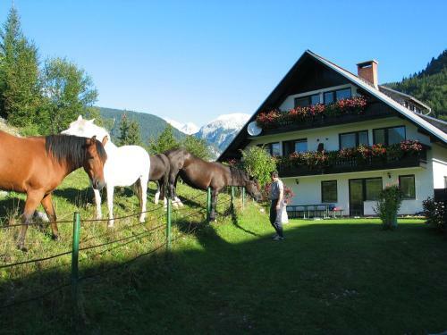 Apartments Bohinj Mavrica