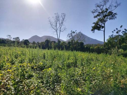 Casa De Campo En La Fortuna