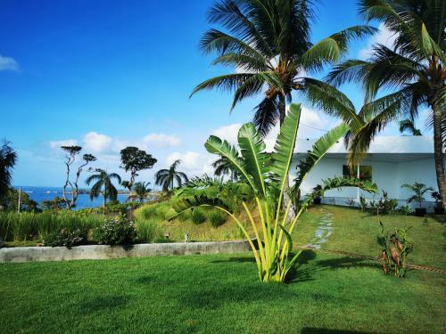 Bed & Breakfast Ocean Breeze Cove - Luxury Retreat