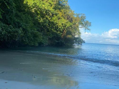 Hermoso Apartamento Isla Contadora Frente Al Mar