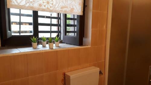 Carrubo - Giardino In Citt�