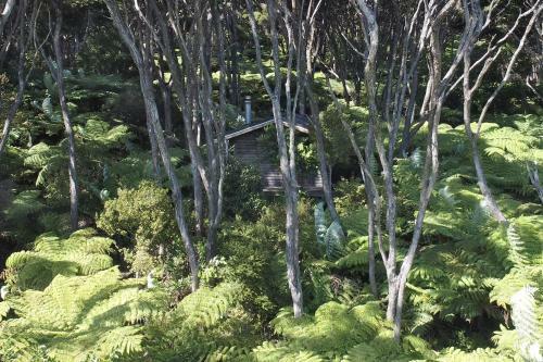 Frosty's Retreat - Great Barrier Island Holiday Home
