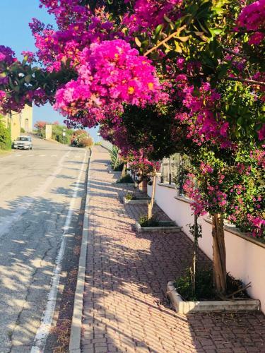 La Torretta B&B