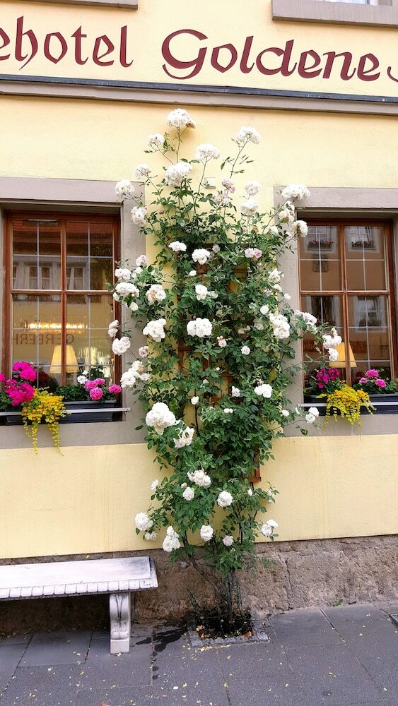 Boutiquehotel Goldene Rose
