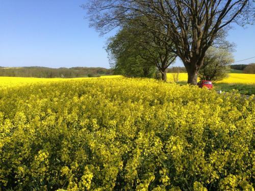 Hostal Pension Am Kl�nderberg