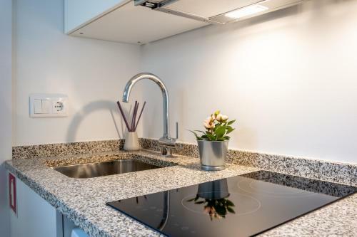 S� Apartamentos - Guadalupe Lofts