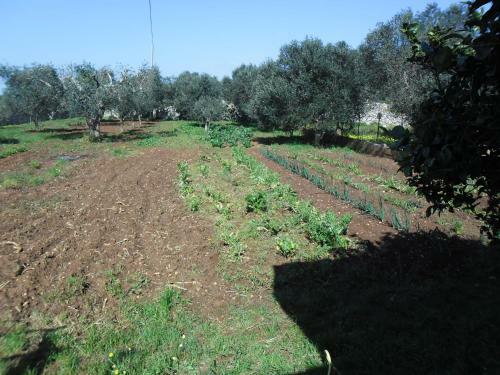 Villetta Gelsomino E Jasmin Bifamigliare