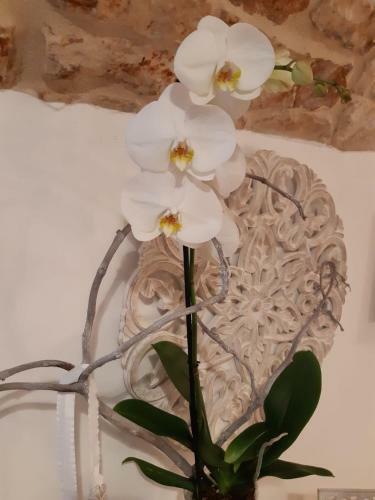 Donna Lucrezia Dimora A Corte B&B