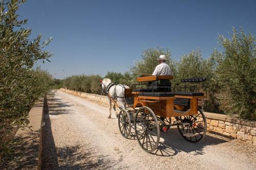 Agroturismo Terra Terra - Masseria Minunni