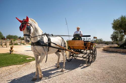 Agroturismo Terra Terra - Masseria Minunni