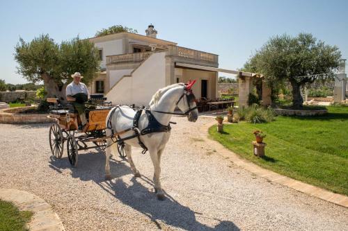 Agroturismo Terra Terra - Masseria Minunni
