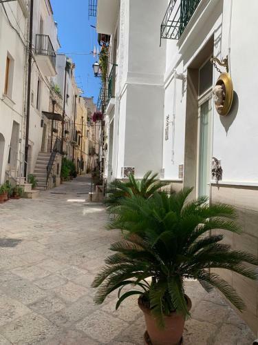 Apartamento Fiori Catene Tra Le Torri
