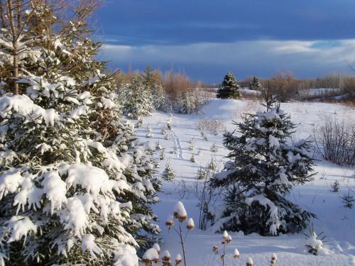 Bed & Breakfast G�te Au Bonheur Du Voyageur