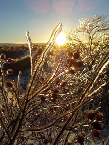Bed & Breakfast G�te Au Bonheur Du Voyageur