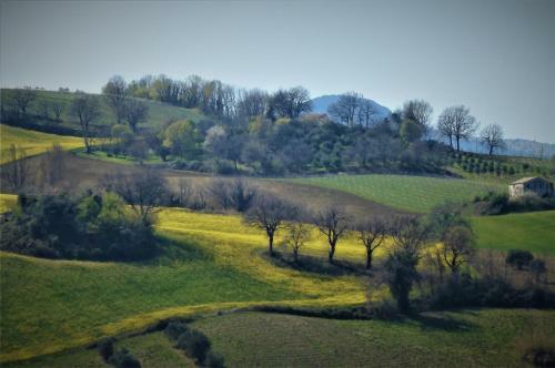 Bed & Breakfast Quelli Del Picchio