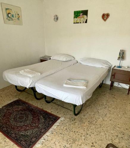 Apartamento Titas House