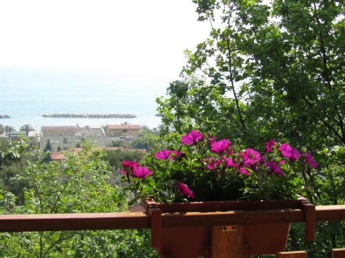 Camping Terrazzo Sul Mare