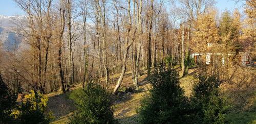 Casalalla, Natura E Relax