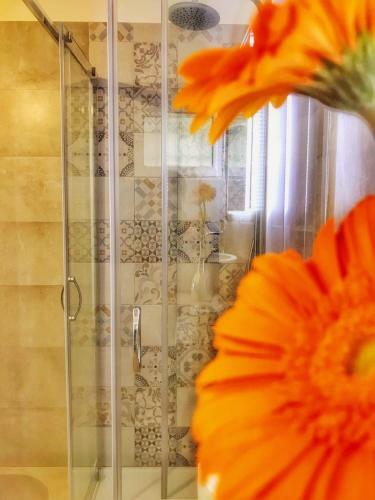 Bed & Breakfast Petramare