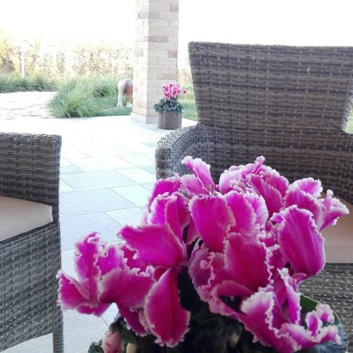 Agroturismo B&B Casalfarano