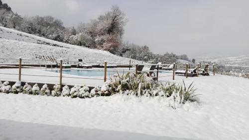 Agroturismo B&B Casalfarano