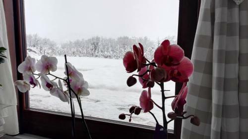 Agroturismo B&B Casalfarano