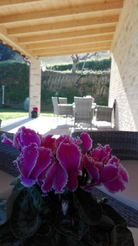 Agroturismo B&B Casalfarano