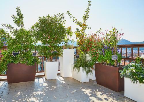 Apartamento Aerie Esmeralda