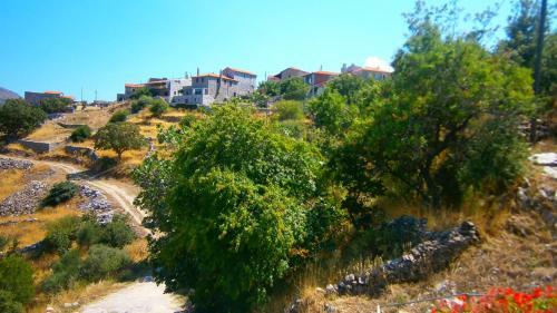 Apartamento Philothea Guest House