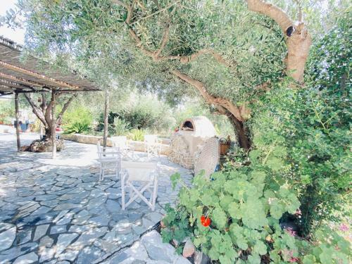 Lodge Natura Cottages