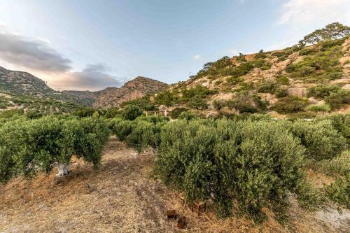 Lodge Natura Cottages