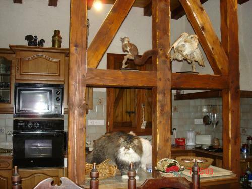 G�te Vall�e Des Nestes